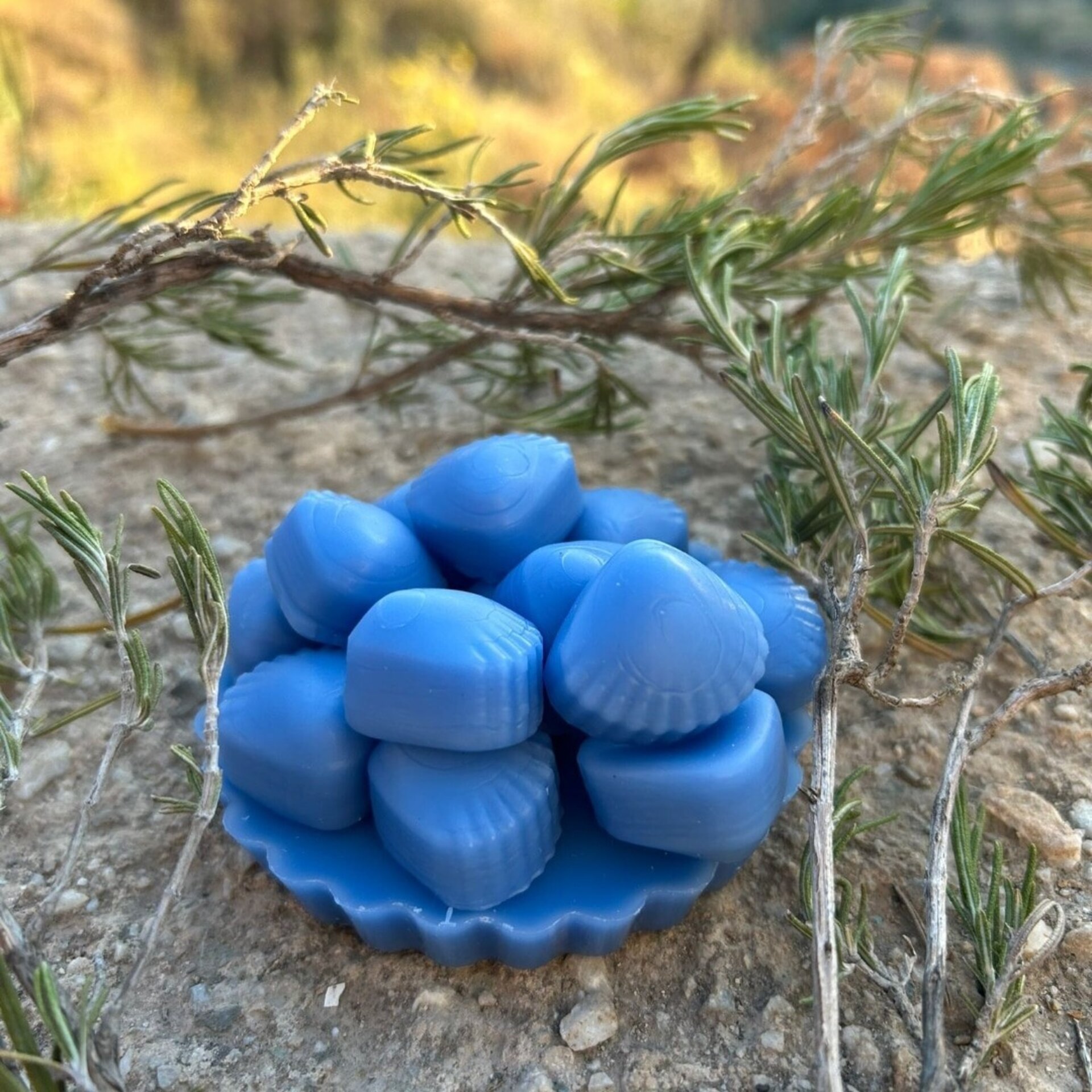 Wax Melts Océano - 2