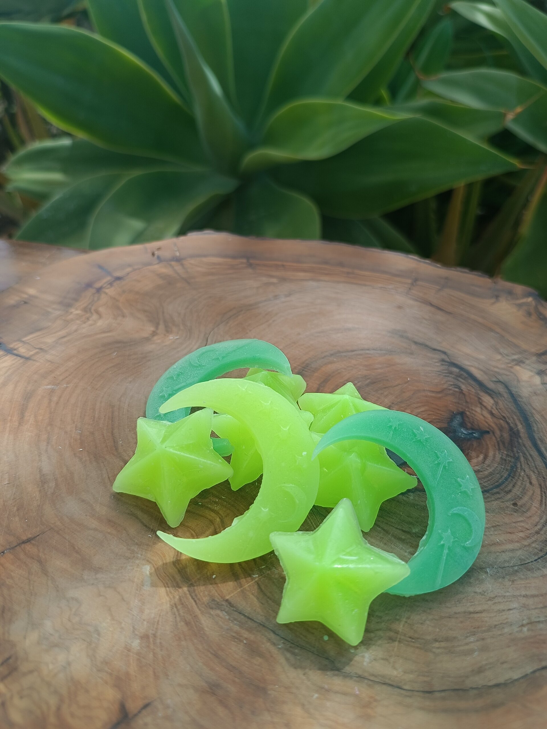 WAX MELTS Por peso - 6