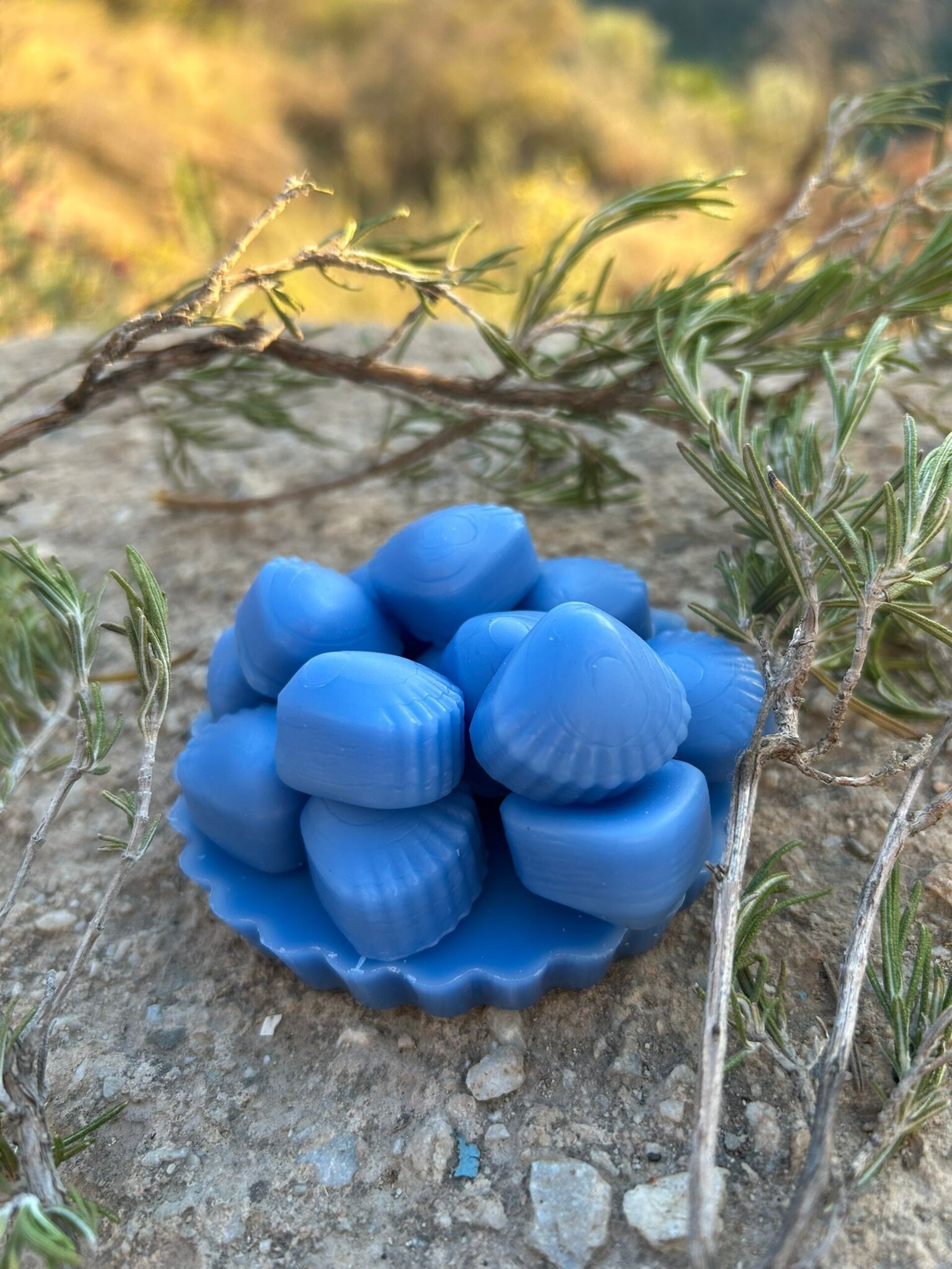 Wax Melts Océano - 4