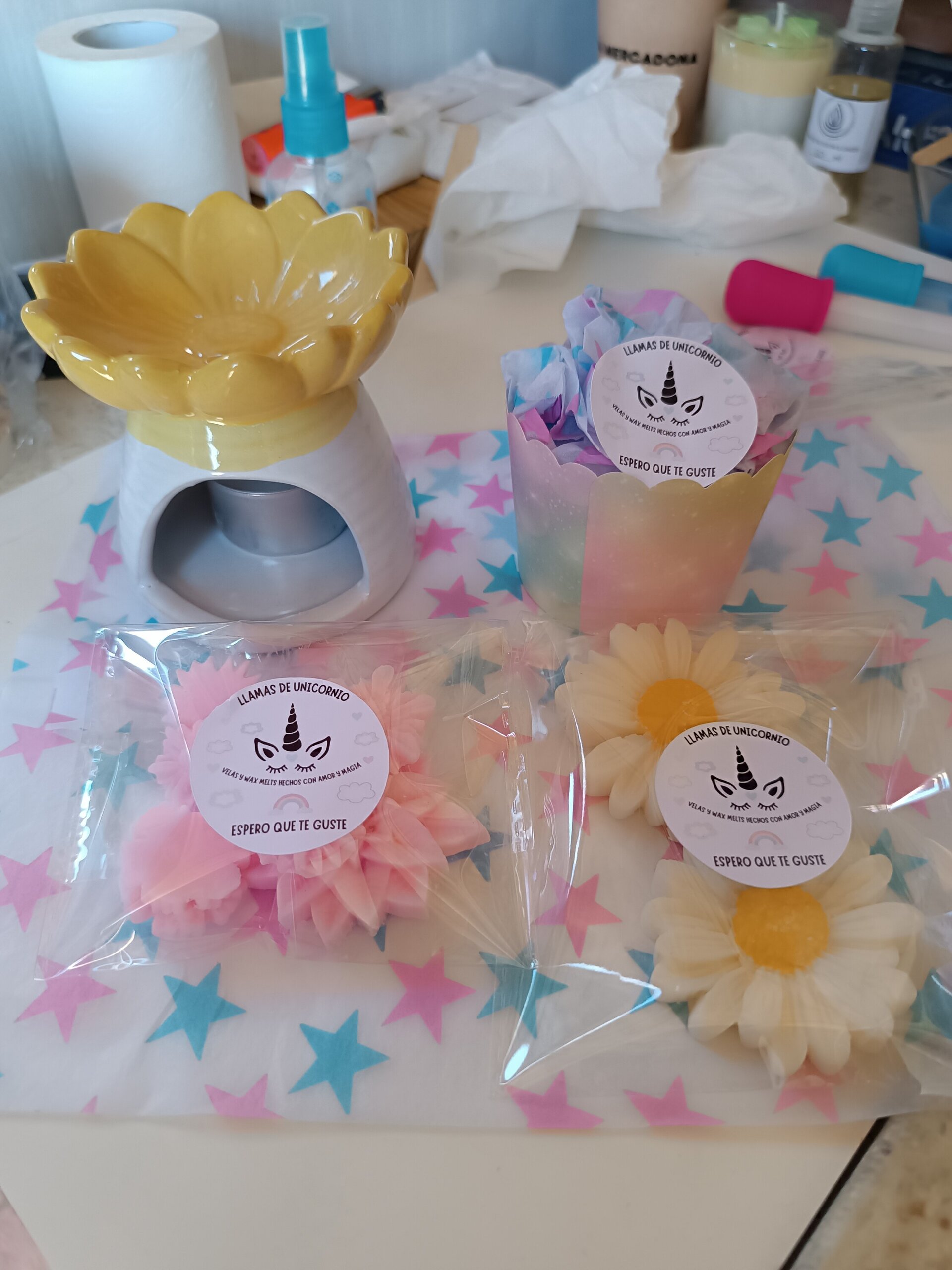 Pack Quemador + Mix de Wax Melts variados. - 2